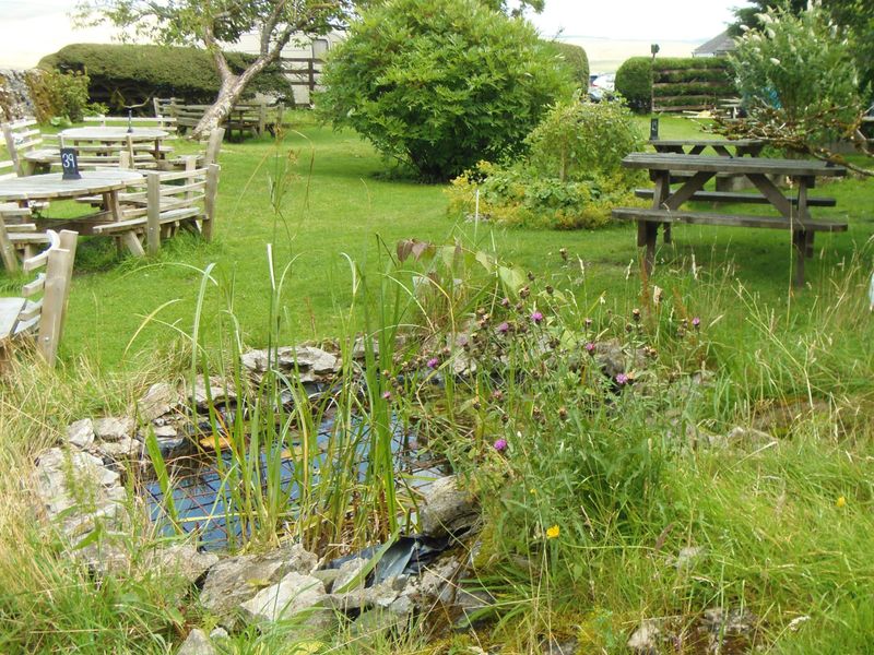 Pub Garden August 2025. (Pub, Garden). Published on 09-08-2025 