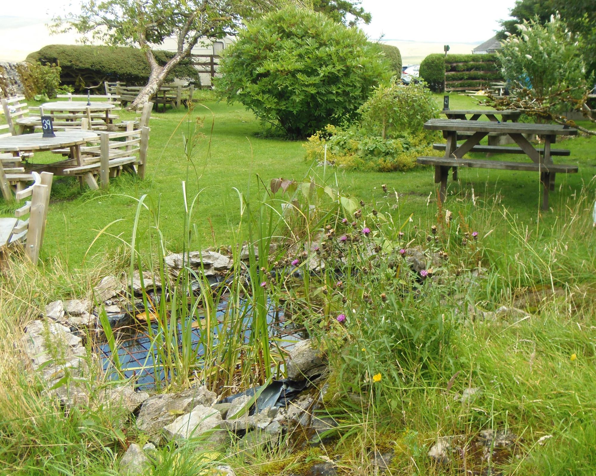 Pub Garden August 2025. (Pub, Garden). Published on 09-08-2025