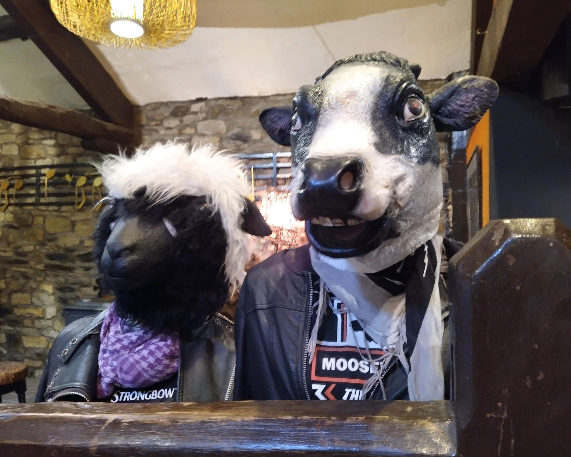 Hogg (young sheep) and Heifer (young cow). (Pub, Bar). Published on 07-10-2025