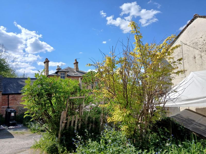 (Garden). Published on 18-05-2025 