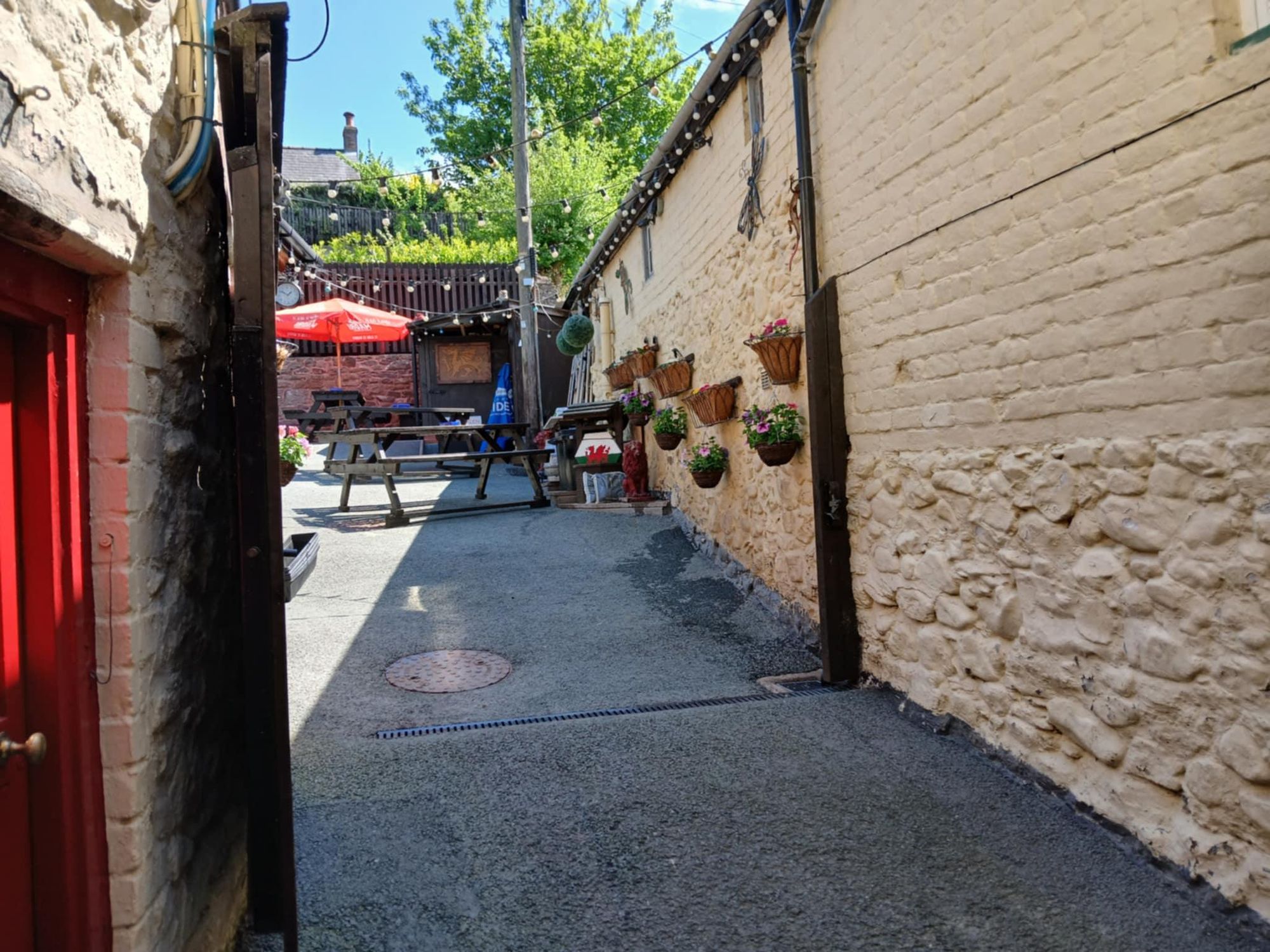 (Garden). Published on 18-05-2025