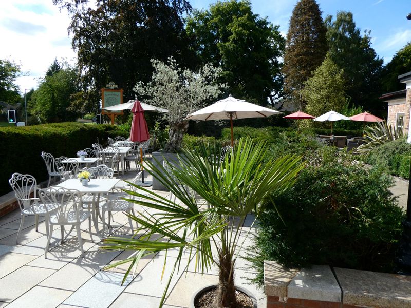 (External, Garden). Published on 01-09-2022