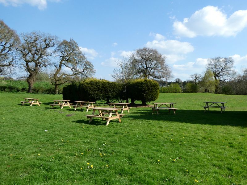 (Garden). Published on 19-04-2023