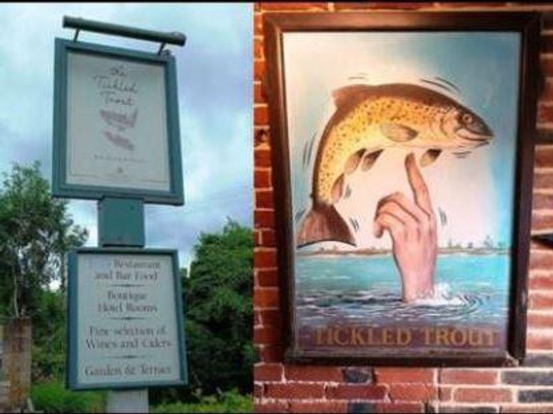 Tickled Trout Pub Signs New and Old -West Farleigh. (Sign). Published on 17-07-2024