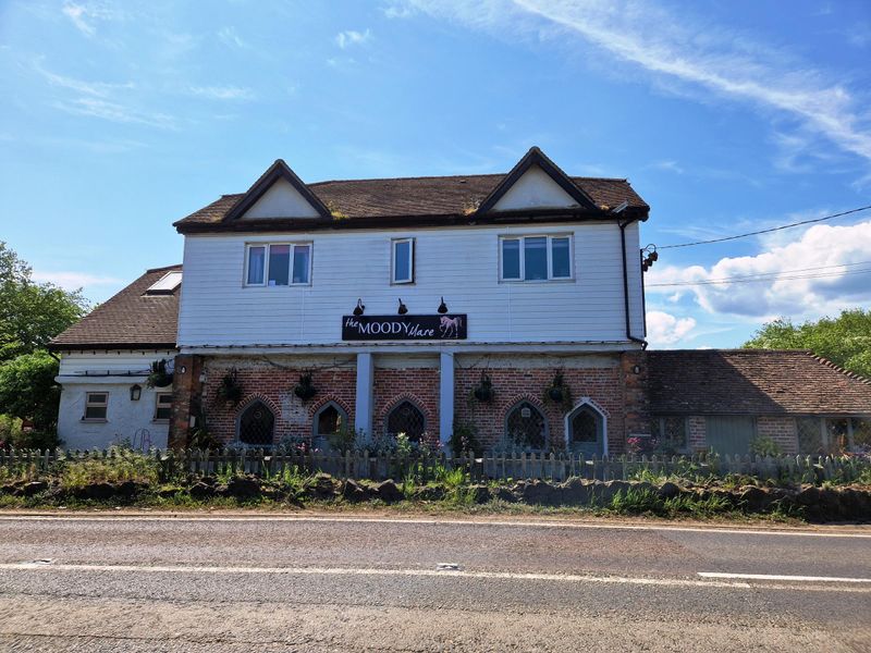Moody Mare - Mereworth. (External, Key). Published on 21-05-2023