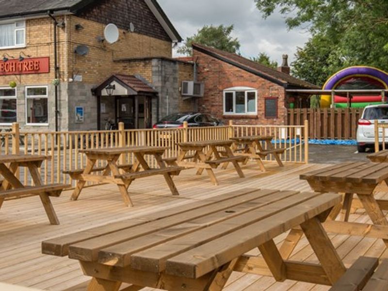 Heald Green - Beech Tree 2016. (Pub, External, Key). Published on 16-11-2016