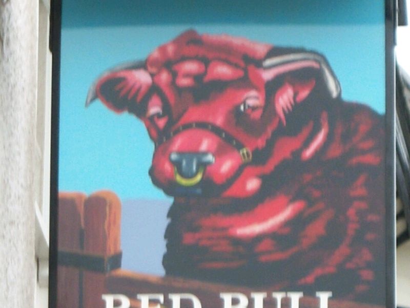 Red Bull sign - Stockport. (Pub, Sign). Published on 24-01-2009