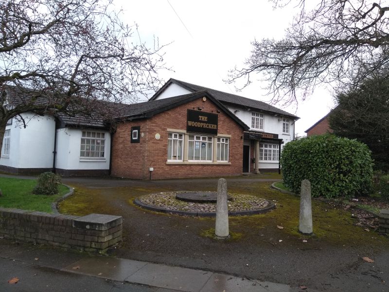 Woodpecker - Wythenshawe 2019. (Pub, External). Published on 09-03-2019