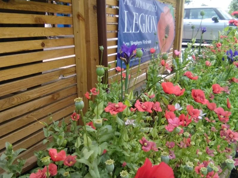 (Garden). Published on 04-06-2026 