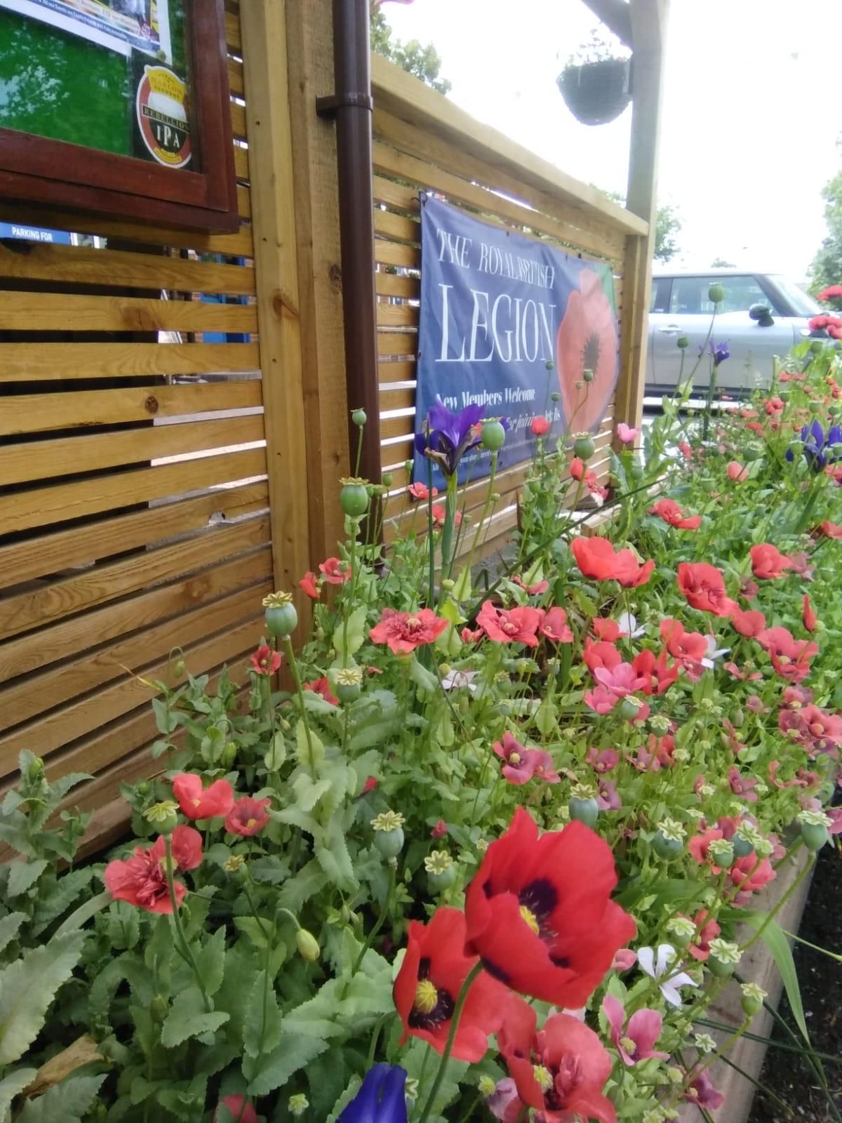 (Garden). Published on 04-06-2026