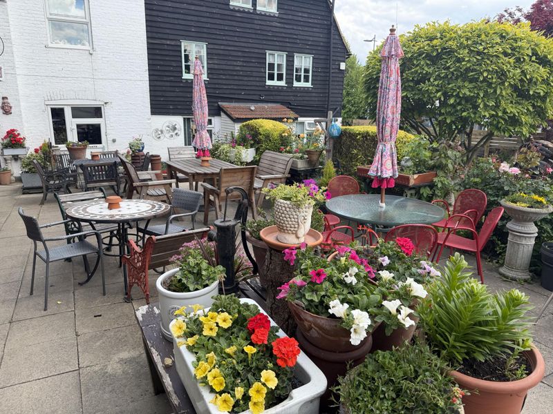 Florals in the garden. (Garden). Published on 16-05-2026 