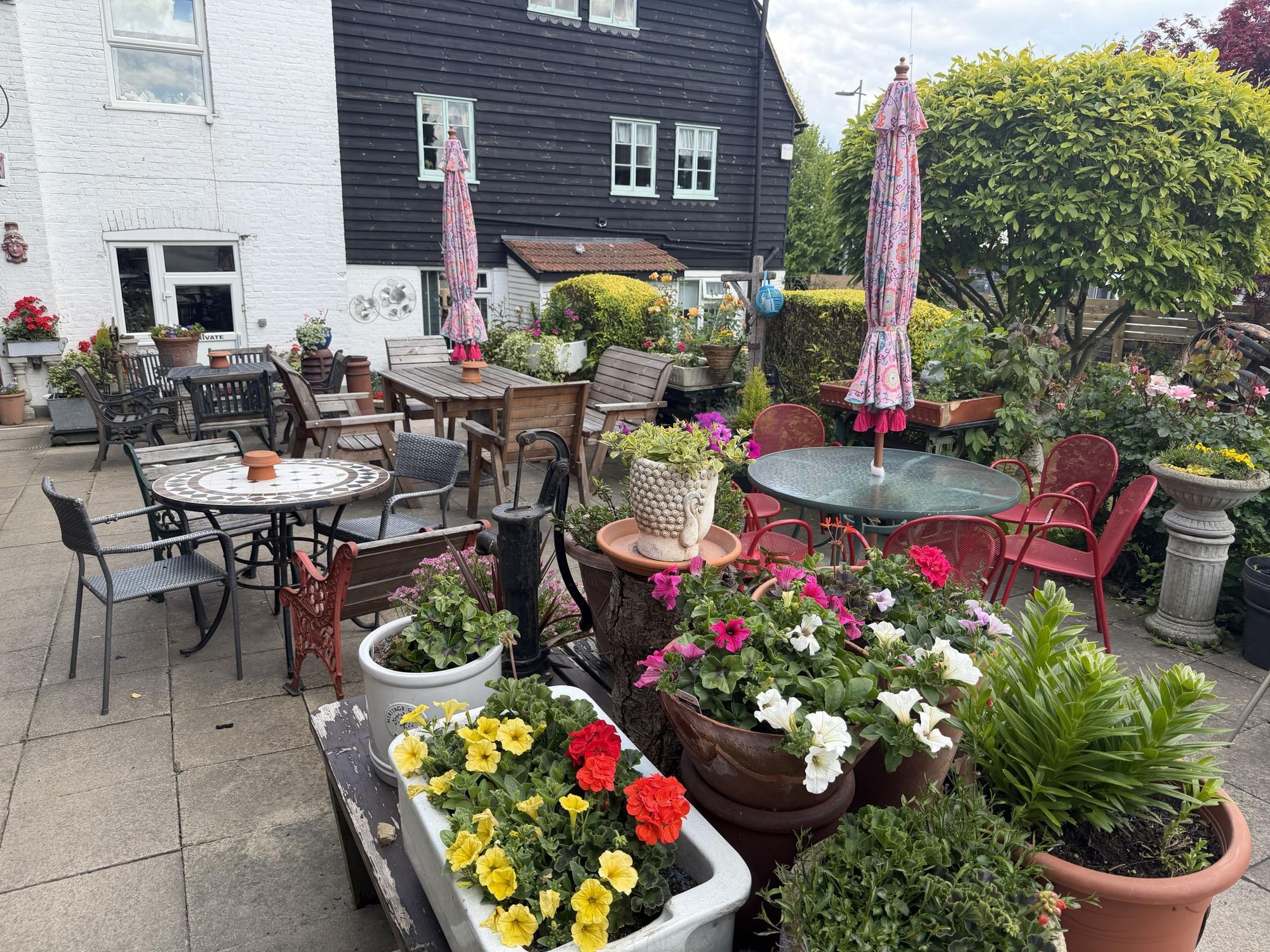 Florals in the garden. (Garden). Published on 16-05-2026