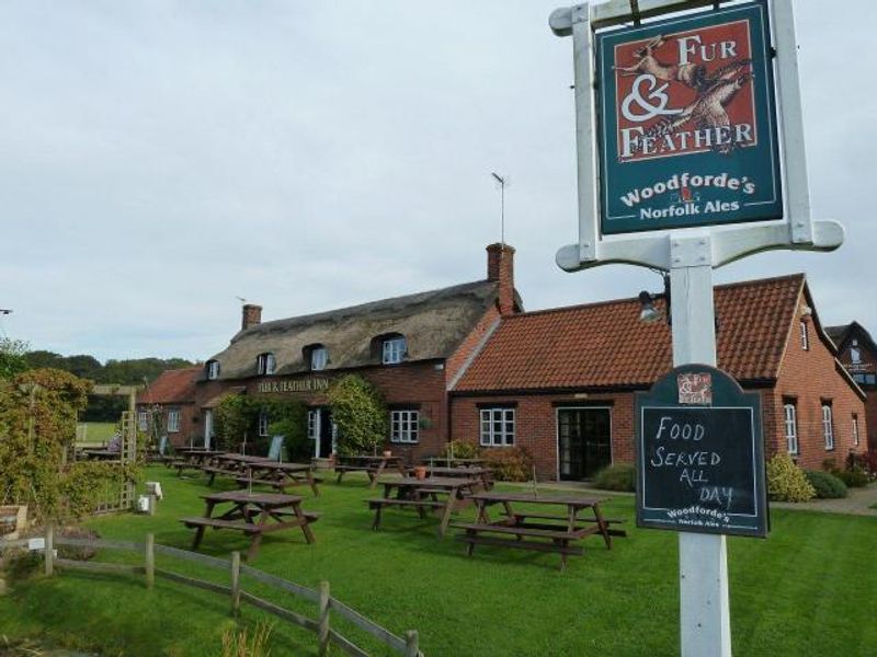 (Pub). Published on 11-02-2013 