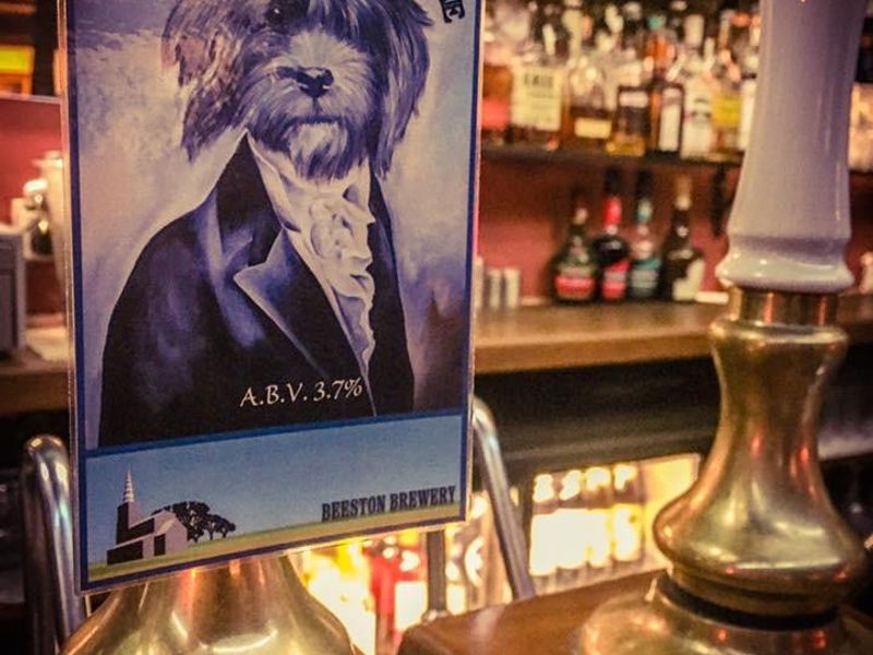 Norfolk Lurcher - beer. (Pub, Bar). Published on 23-08-2021 