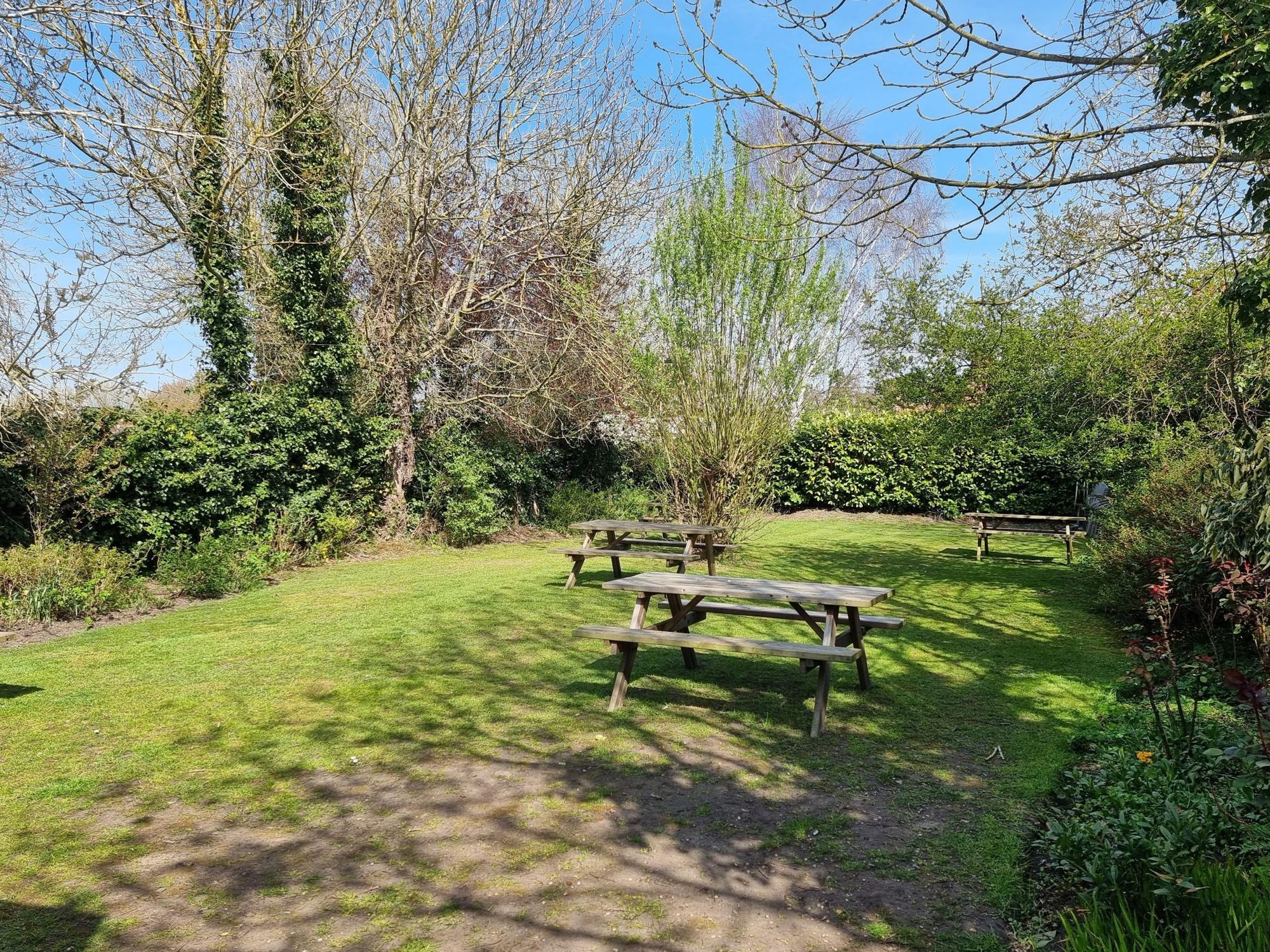 (Garden). Published on 01-04-2025