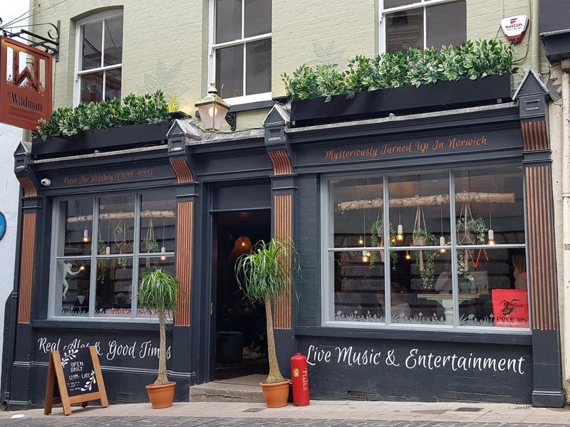 Wildman. (Pub, External). Published on 01-12-2019 
