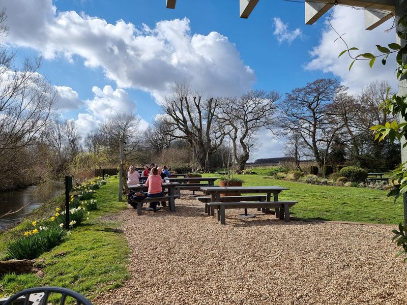 Sculthorpe Mill. (Garden). Published on 01-03-2022