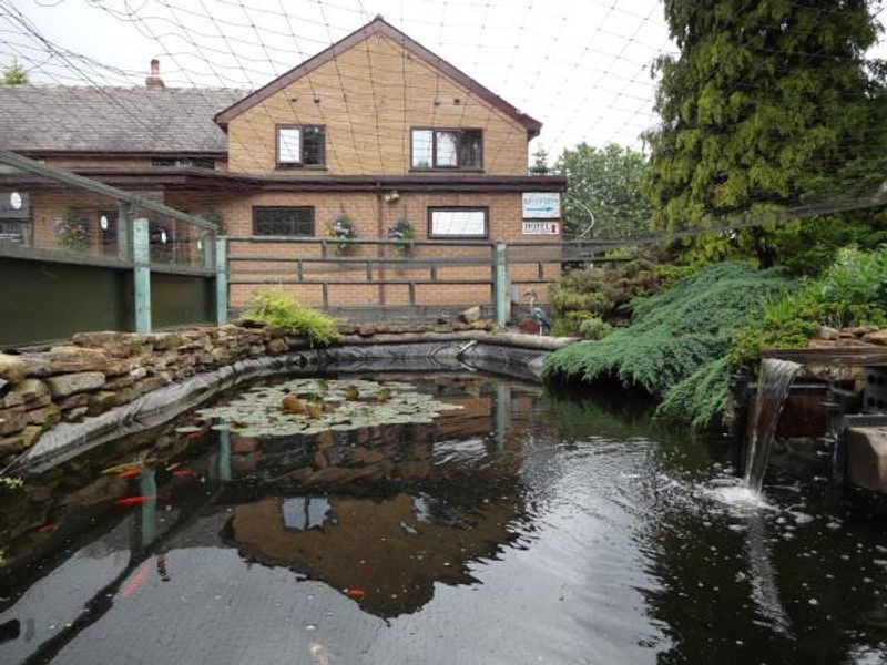 Ornamental fish pond at main entrance June 2016. Published on 14-06-2016