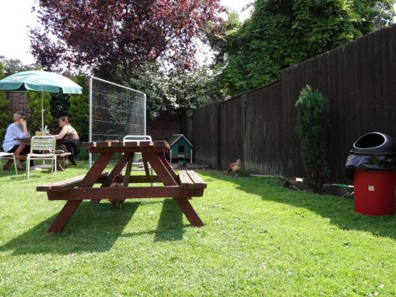 Garden withy chickens. Published on 30-07-2013
