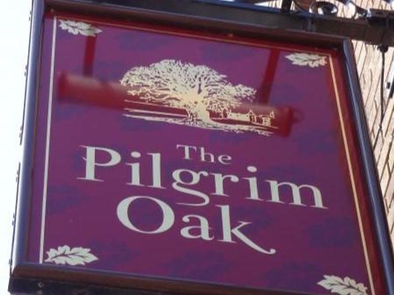 Pilgrim Oak sign. (Sign). Published on 12-03-2024