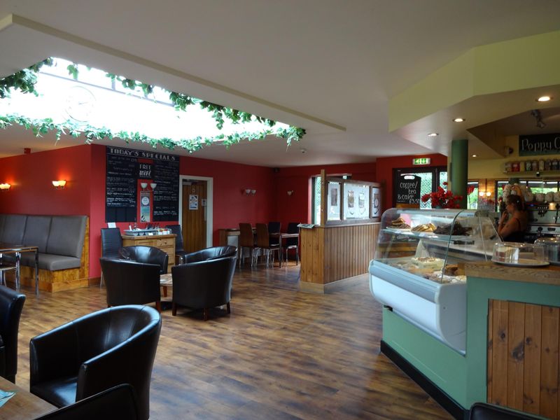 Poppy cafe area August 2014. Published on 10-12-2021