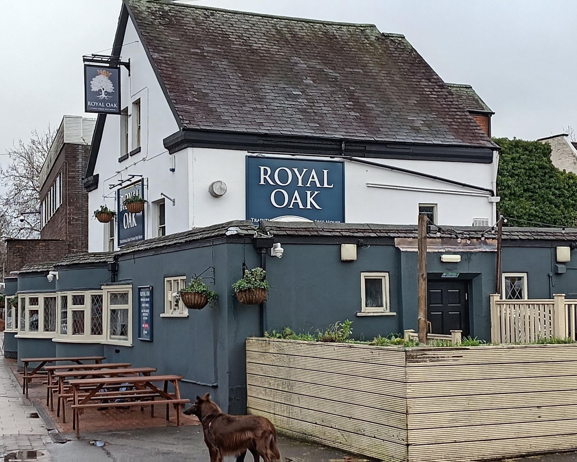 (External). Published on 01-02-2026