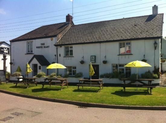 White Hart Inn Bridestowe. (Pub, Key). Published on 01-01-1970