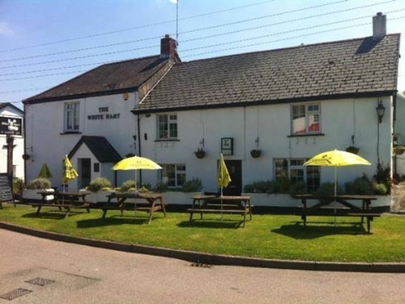 White Hart Inn Bridestowe. (Pub, Key). Published on 01-01-1970