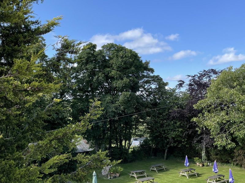 Pub garden aerial. (Garden). Published on 25-07-2025 