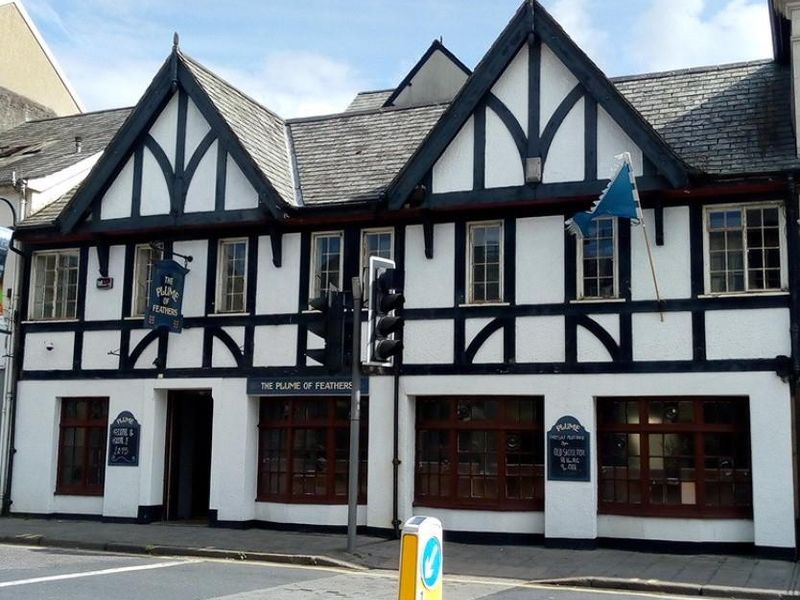 Plume of Feathers. (Pub). Published on 07-12-2020