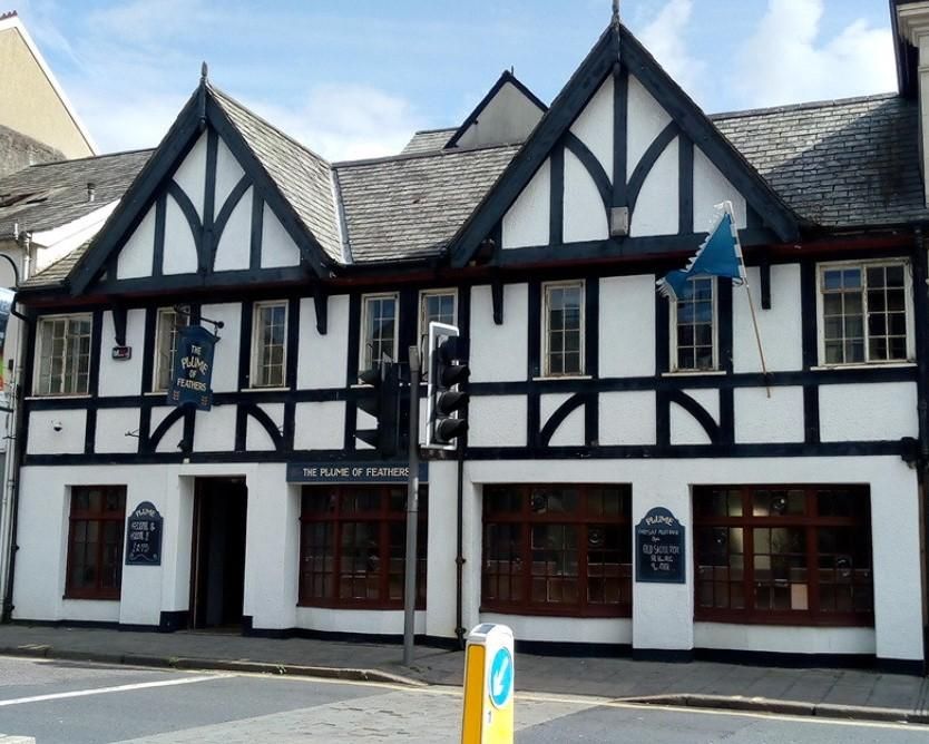Plume of Feathers. (Pub). Published on 07-12-2020