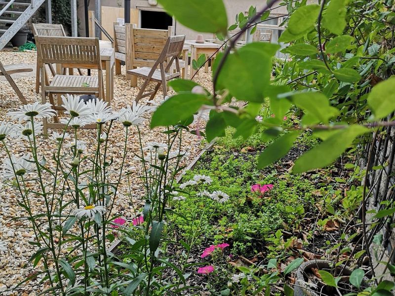 Liberal Club Garden through the bushes. (Garden). Published on 20-07-2025 