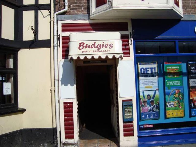 Budgies. (Pub, External, Key). Published on 01-01-1970 