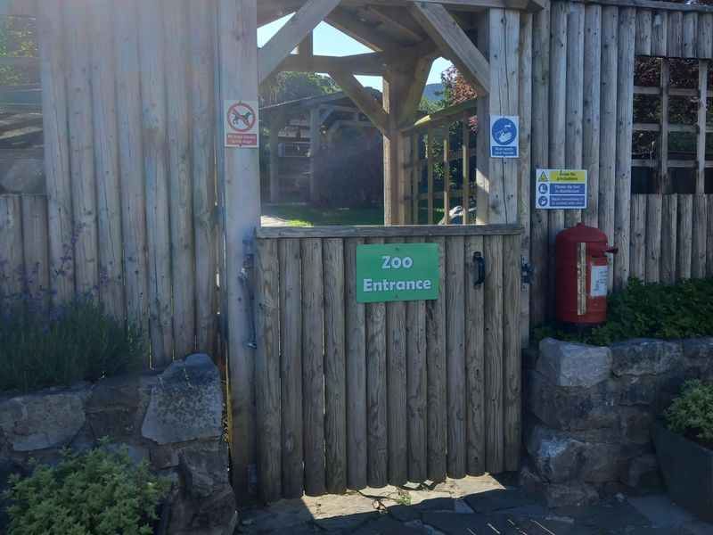 Zoo at Penycae Inn. (External, Garden). Published on 03-06-2024