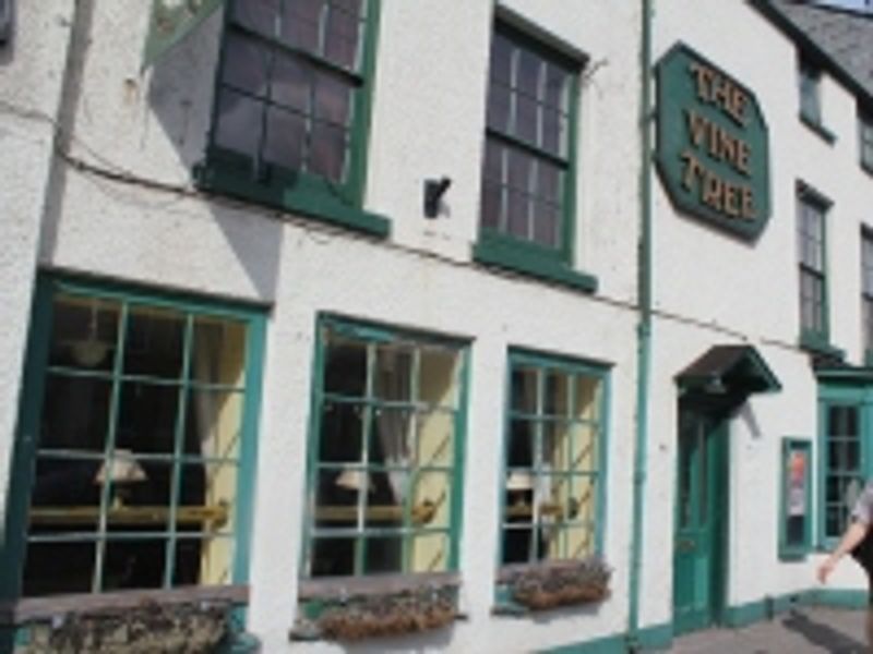 Vine Tree, Monmouth. (Pub, External). Published on 12-11-2011