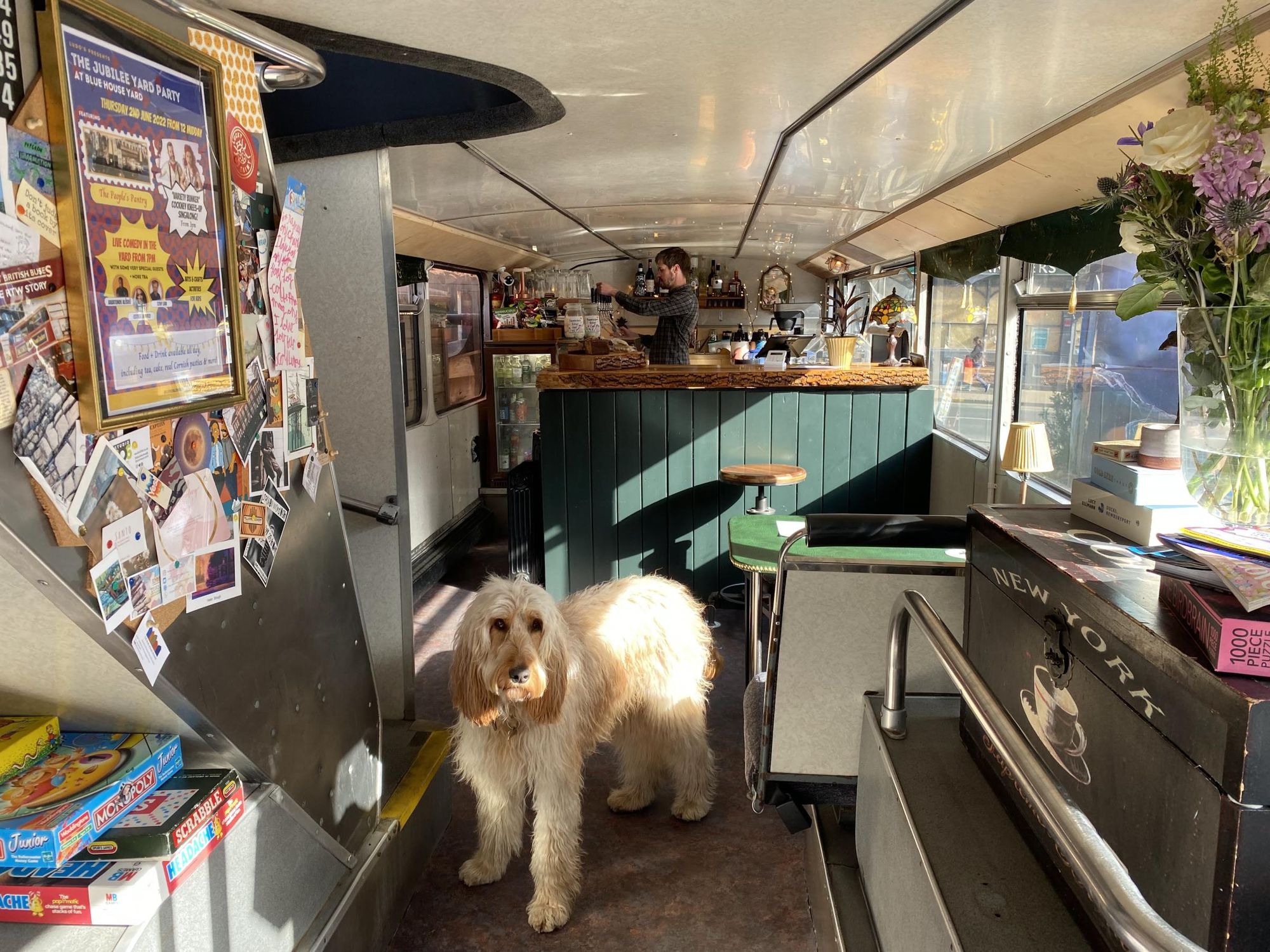 Dogs Welcome. (Pub, Bar). Published on 02-06-2025