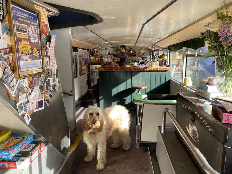 Dogs Welcome. (Pub, Bar). Published on 02-06-2025 
