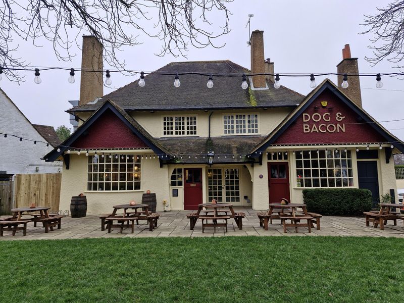 Dog & Bacon Horsham. (Pub, External, Key). Published on 29-12-2024