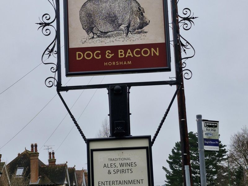 Dog & Bacon Horsham Pub sign. (Pub, Sign). Published on 29-12-2024