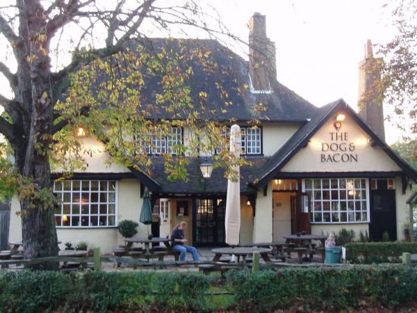 Dog & Bacon, Horsham. (Pub, External). Published on 27-12-2012