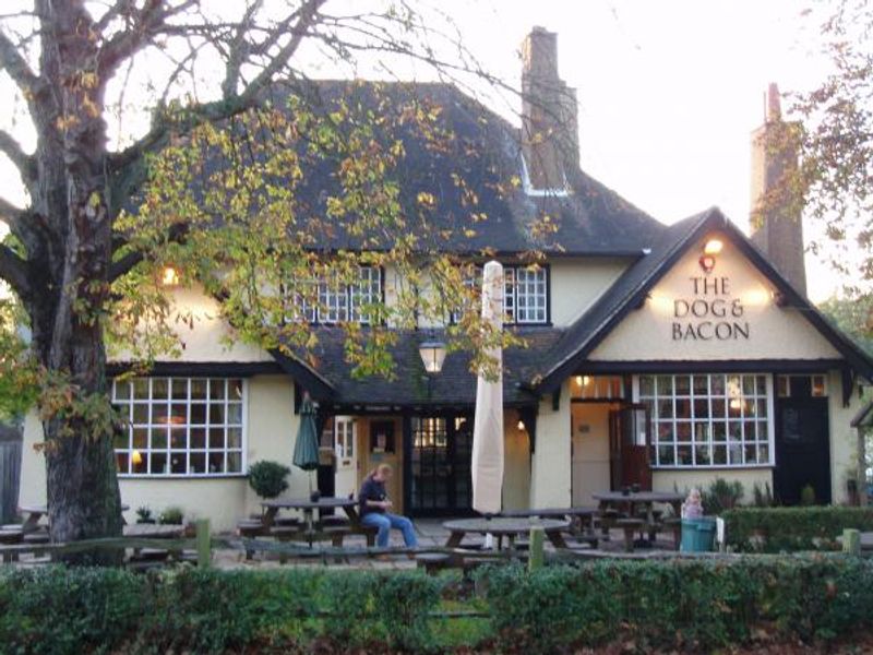 Dog & Bacon, Horsham. (Pub, External, Key). Published on 27-12-2012 