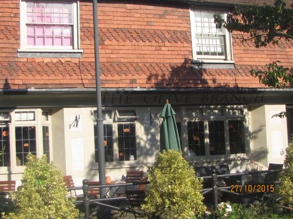 THE OLIVE TREE . (Pub, External, Key). Published on 28-10-2015