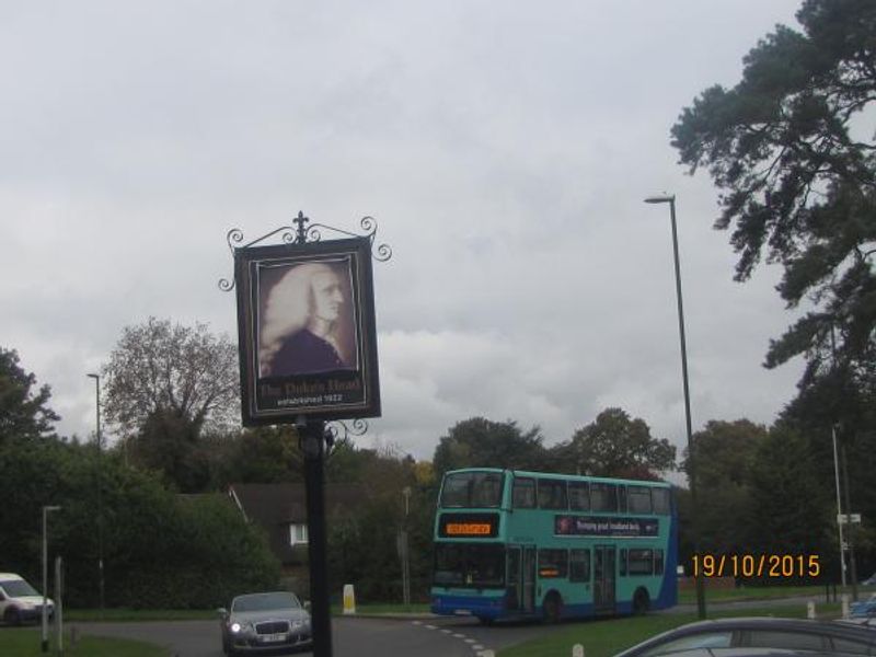 THE DUKES HEAD. (External, Sign). Published on 28-10-2015