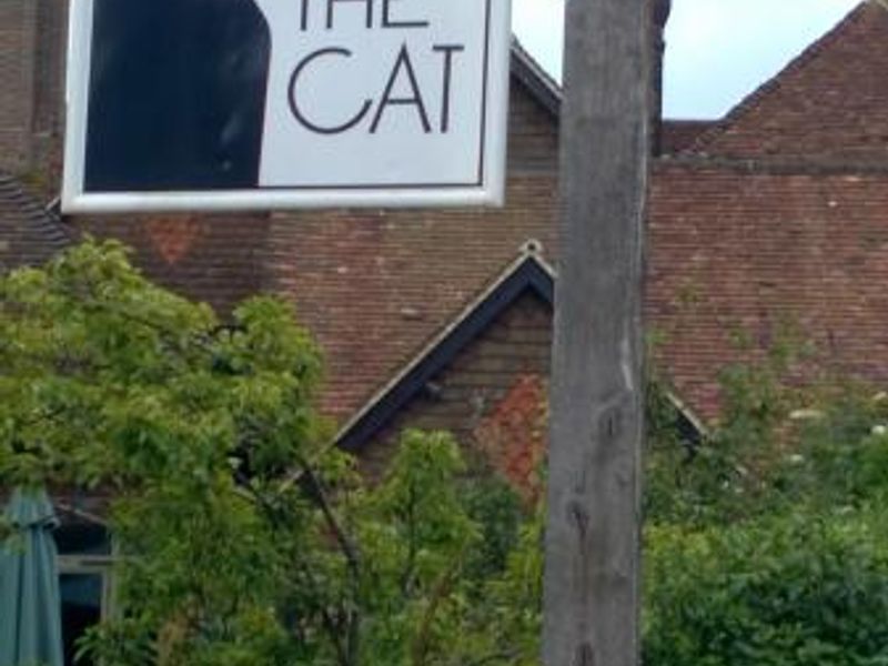 Cat Inn, West Hoathly - pub sign. (Pub, Sign). Published on 19-08-2015