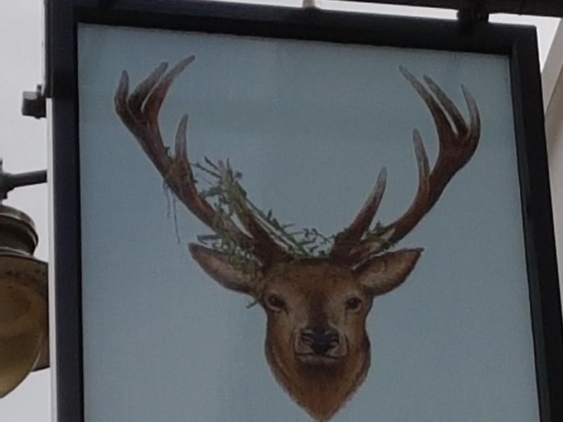 Red Deer pub sign, Horsham Carfax. (Pub, Sign). Published on 15-06-2019