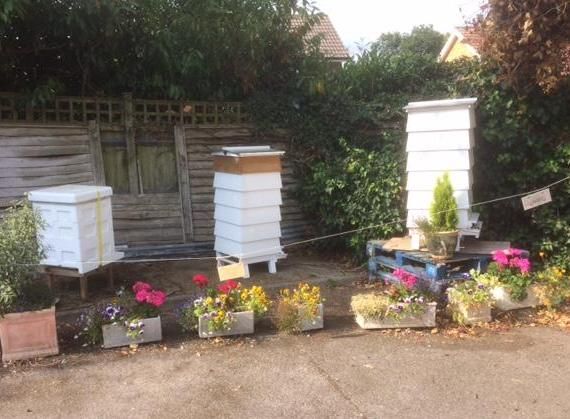Beehive Beehives. (External). Published on 20-07-2018