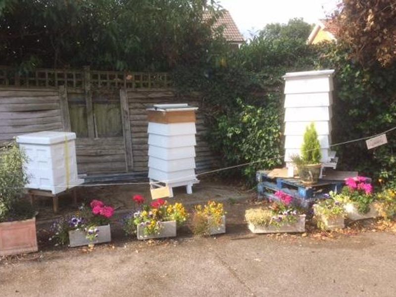 Beehive Beehives. (External). Published on 20-07-2018 