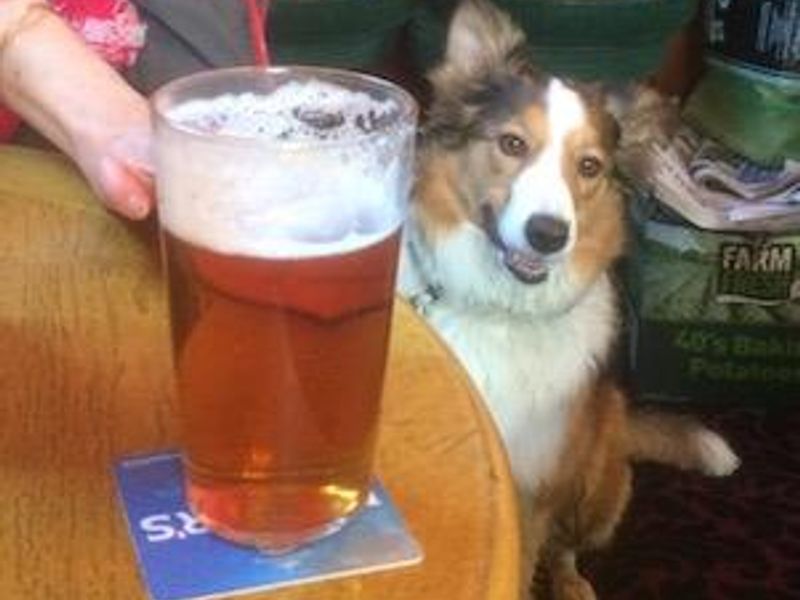 Betsy waits for her crisps. (Pub, Customers). Published on 20-02-2019