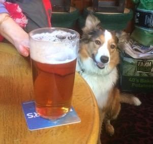 Betsy waits for her crisps. (Pub, Customers). Published on 20-02-2019