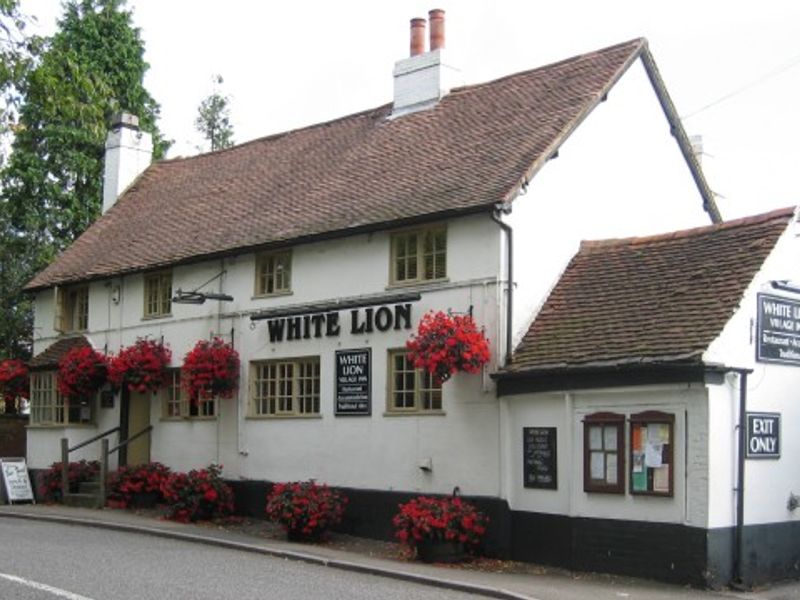 The White Lion, Hampton-in-Arden. (Pub, External). Published on 19-03-2014 